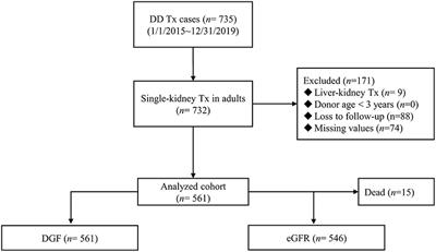 Donor Death Category Is an Effect Modifier Between Cold Ischemia Time and Post-transplant Graft Function in Deceased-Donor Kidney Transplant Recipients